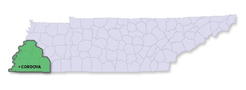 Map of Tennessee